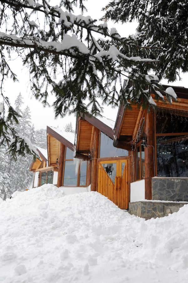 Мини-отель Gura Diham Буштени-23