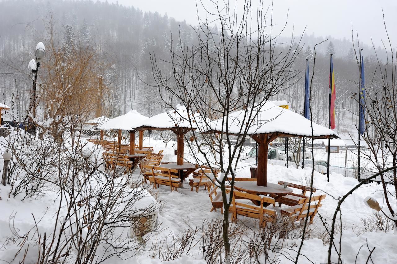 Мини-отель Gura Diham Буштени-29