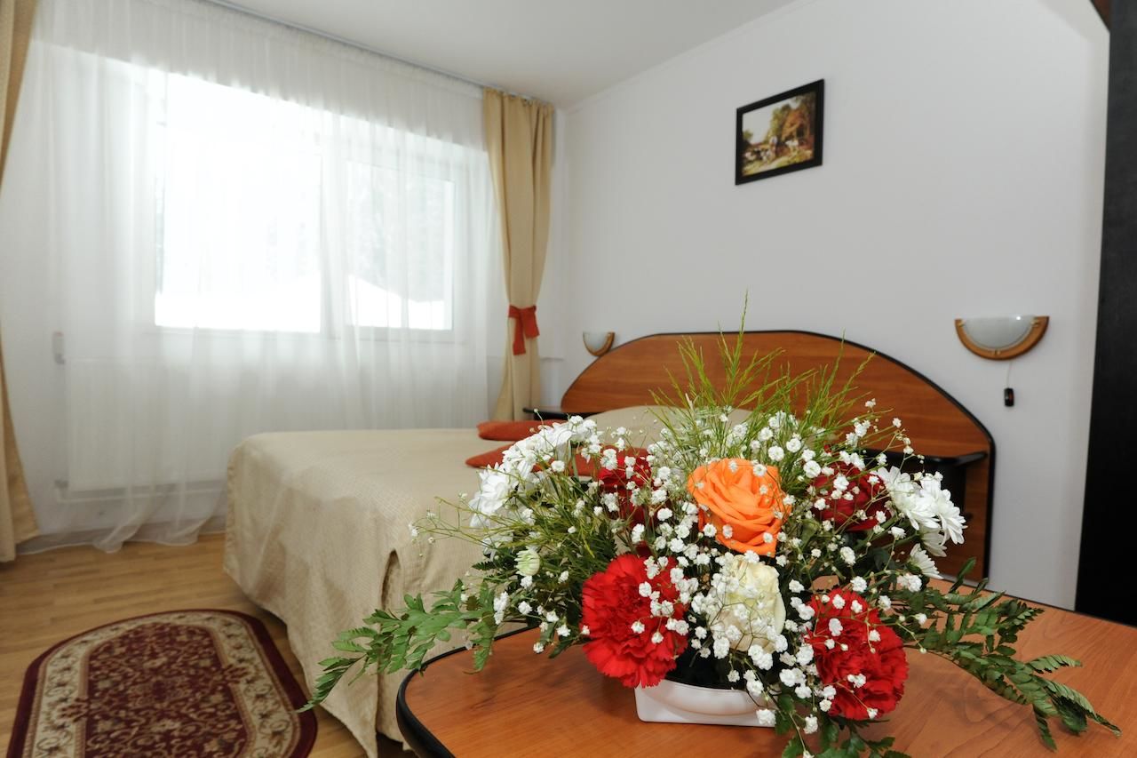 Мини-отель Gura Diham Буштени-12