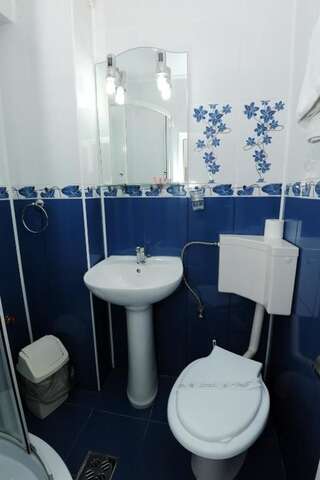 Мини-отель Gura Diham Буштени Двухместный номер с 1 кроватью или 2 отдельными кроватями-3