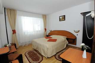 Мини-отель Gura Diham Буштени Двухместный номер с 1 кроватью или 2 отдельными кроватями-6