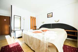 Мини-отель Gura Diham Буштени-7