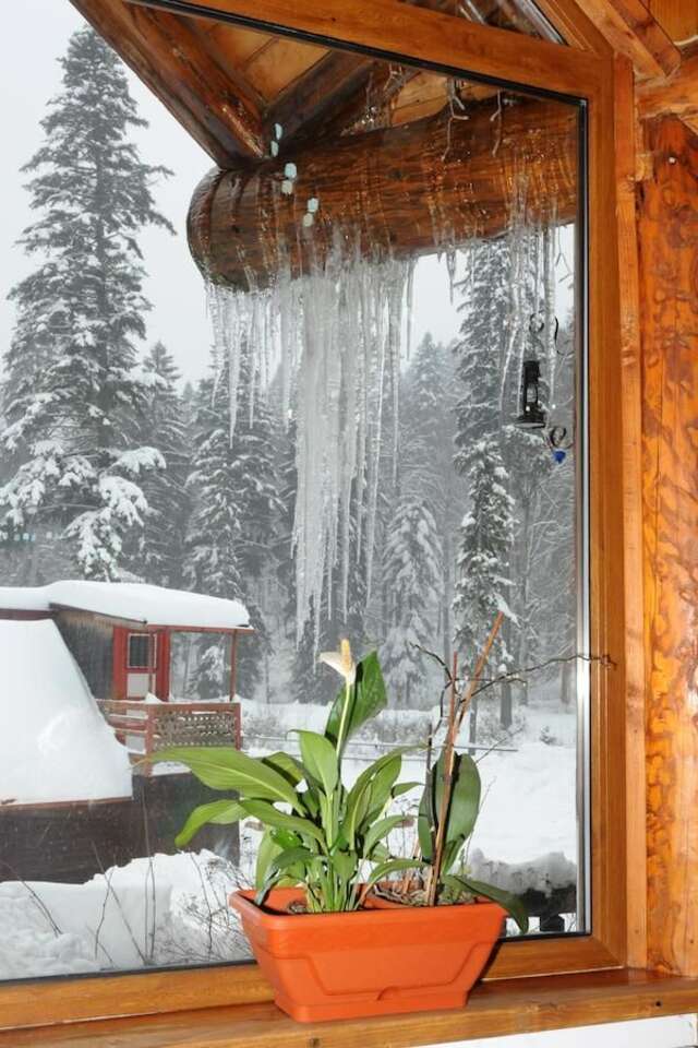 Мини-отель Gura Diham Буштени-14