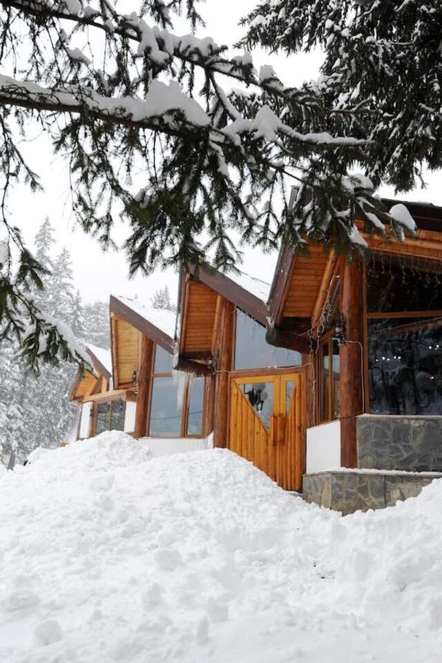 Мини-отель Gura Diham Буштени-22