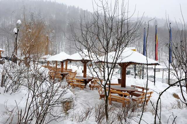 Мини-отель Gura Diham Буштени-28